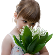 86802021-large-dl