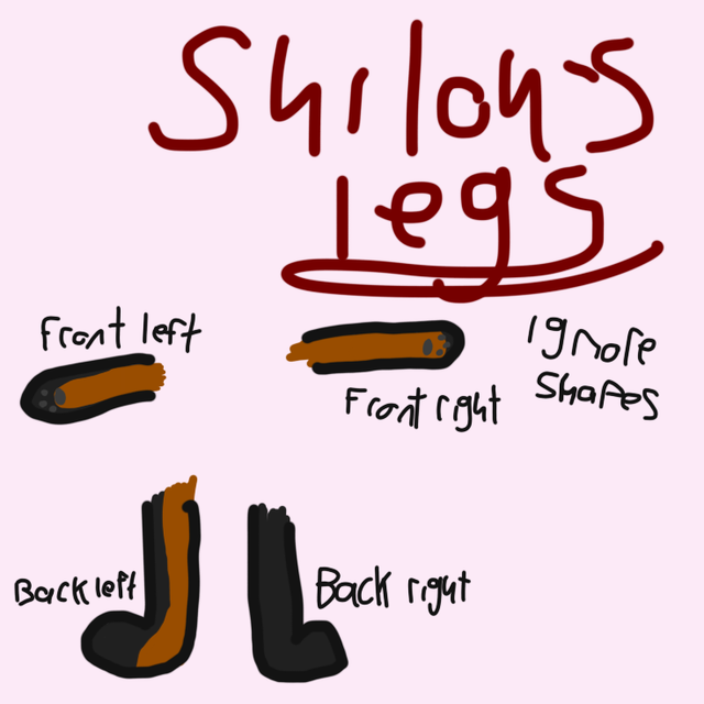 IMG 0899.png