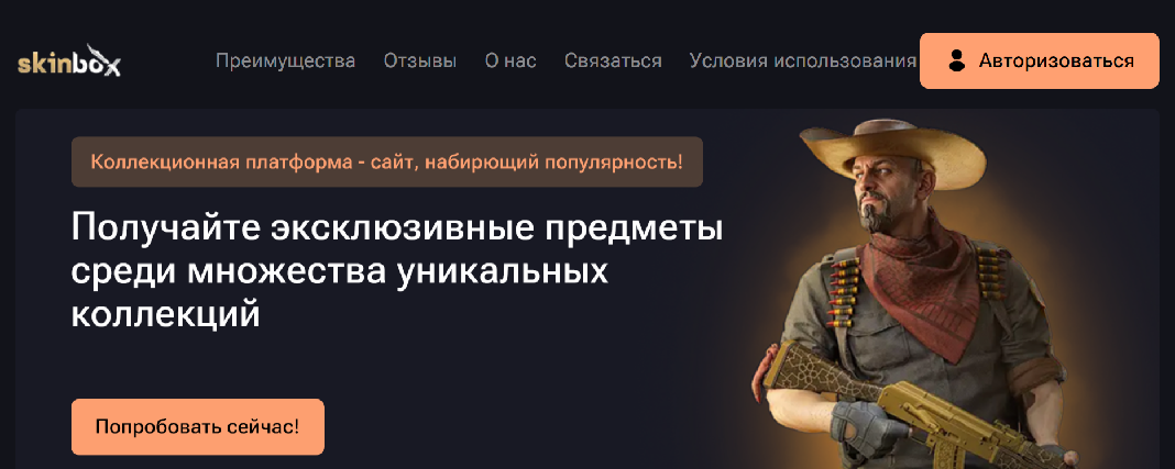 Screenshot of skirbox.com