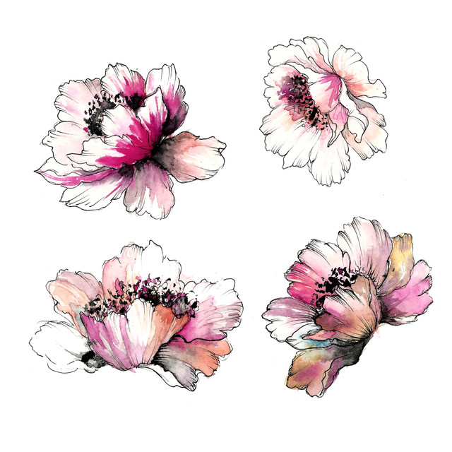 shutterstock 1445963261.jpg