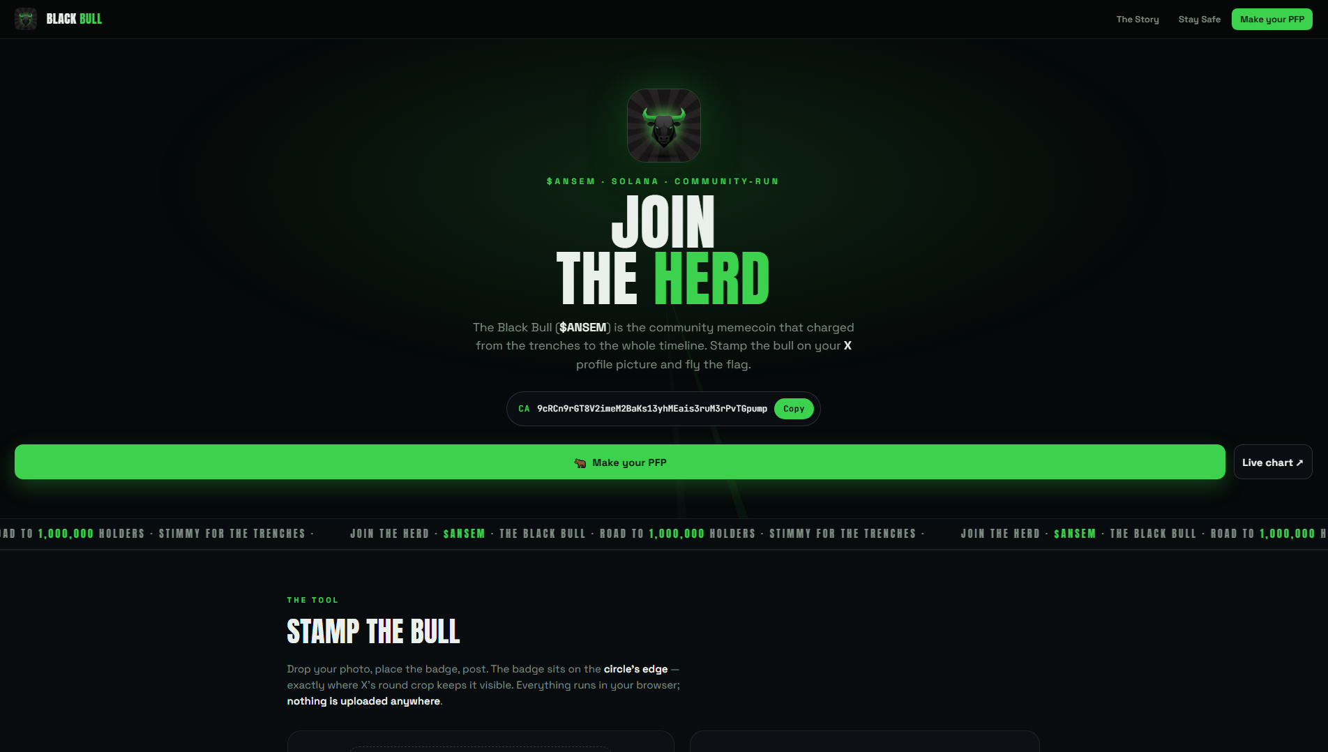 Screenshot of ansempfp.com