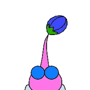 wingedbud