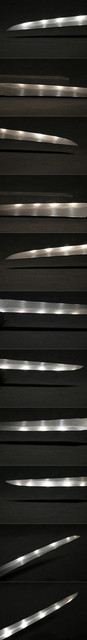 DSC1652.jpg