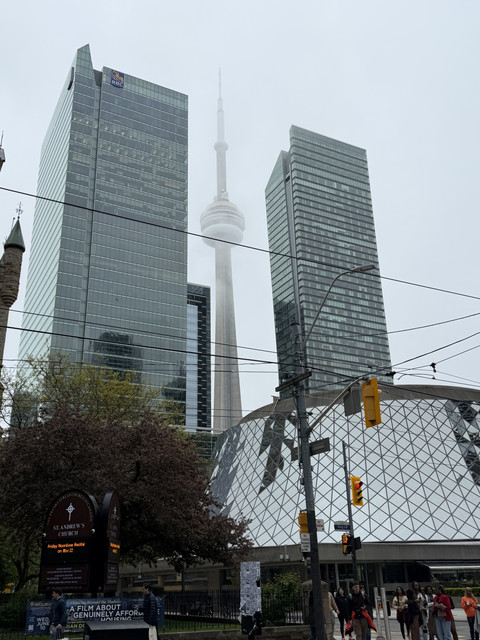 IMG 7131.jpg