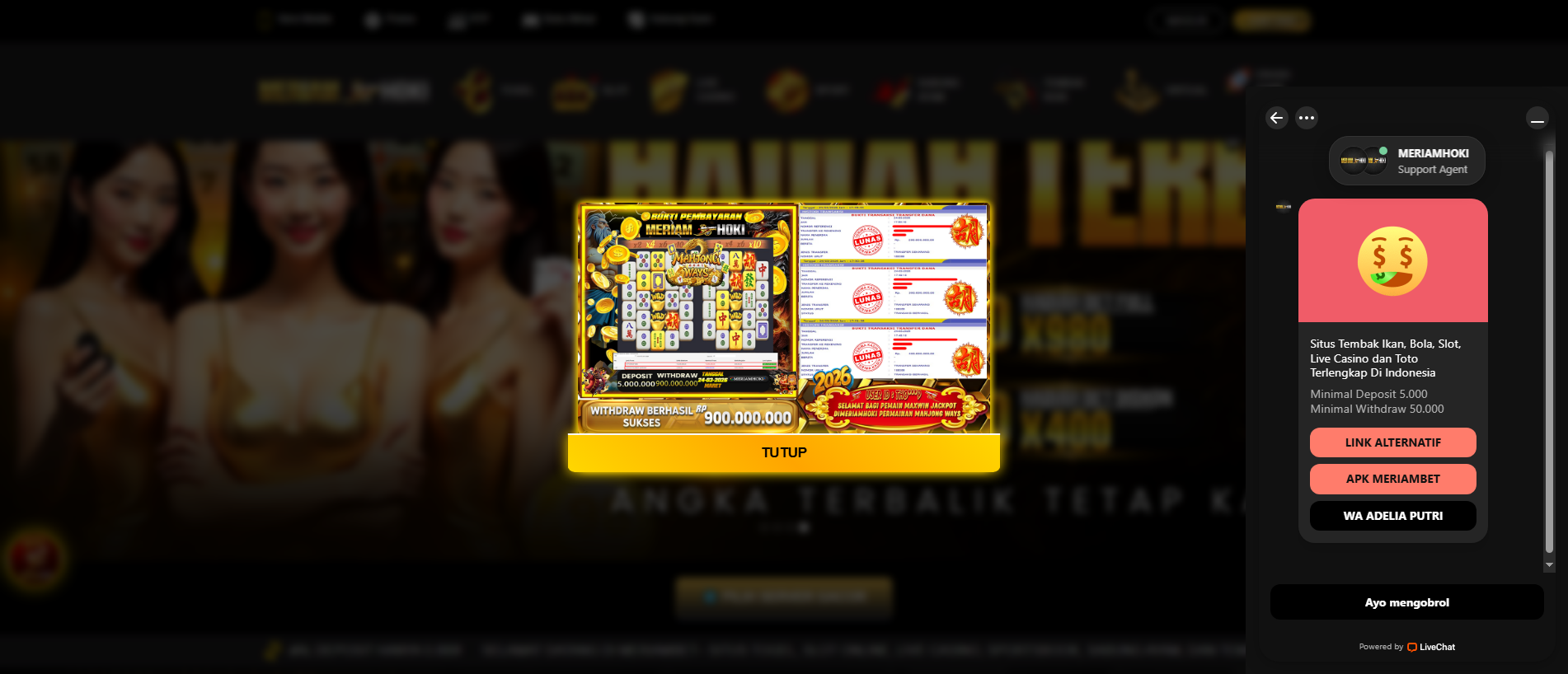 Stored capture of meriambet.net