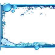 Squirtle WEBP2.webp