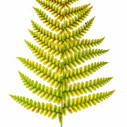 01-570