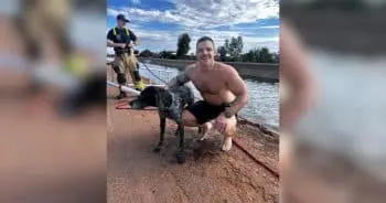 Dog Lost in Monsoon Rescued from Canal by Firefighters
