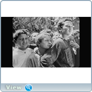 https//i.ibb.co/0jsY0bPQ/thumb-645b006e558b855163d56de9670efd.png