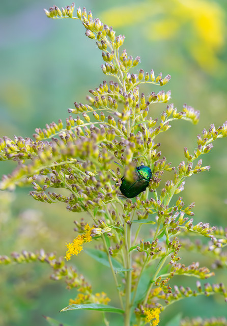DSC7580 копия.jpg