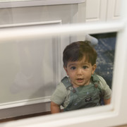 IMG 5528