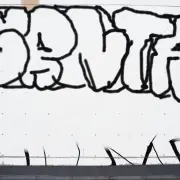 Graffiti artwork by timzypex