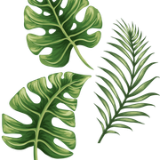 shutterstock 268440686