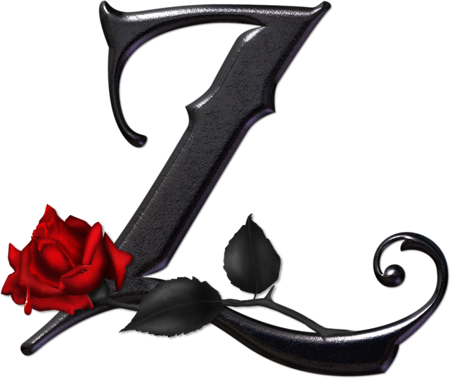 Z.png