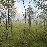 IMG 4832