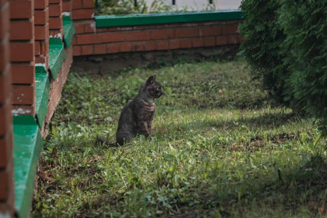 DSC00009.jpg