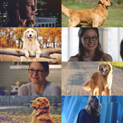 Kara Golden Retriever