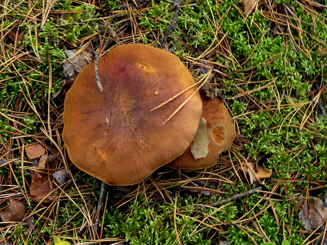 DSC05562