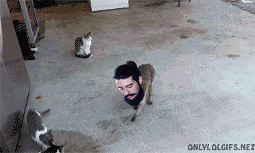2gLAHbP.gif