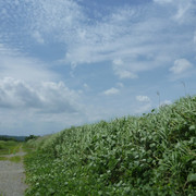 P1330194