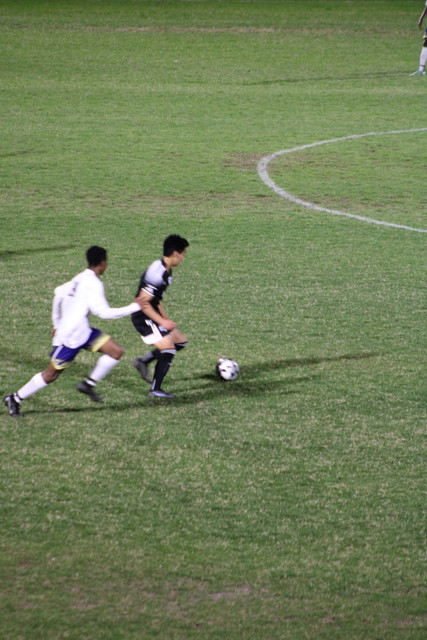 IMG-0108