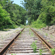IMG 0394