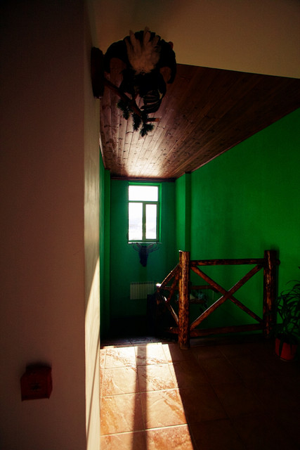 IMG-7499