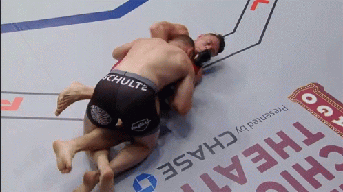 [IMAGE:https://i.ibb.co/0nCC6Hg/grappling-punching.gif]