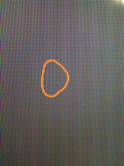 oznorWO