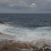 DSCF8617
