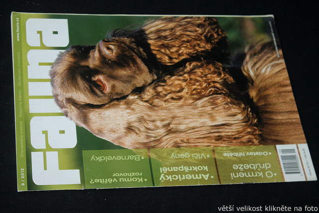 IMG-7720
