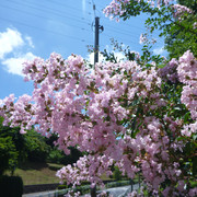 P1330862