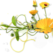 0-d40ce-3c5b4406-M