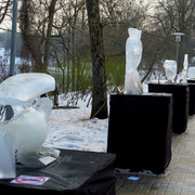 IMG-0386