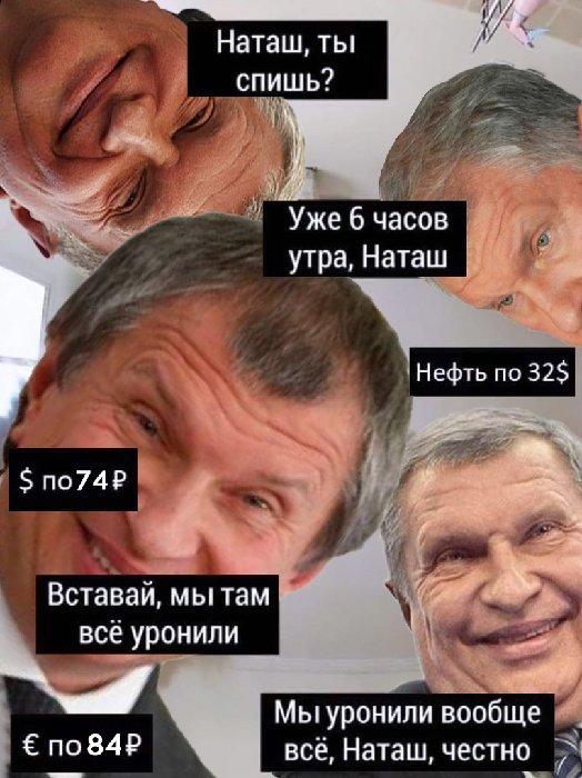 3668714.jpg