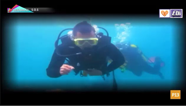 terdampar di pulau