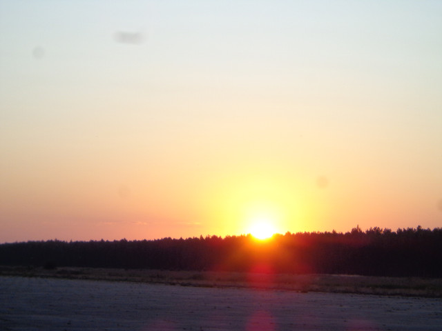DSC01020.jpg