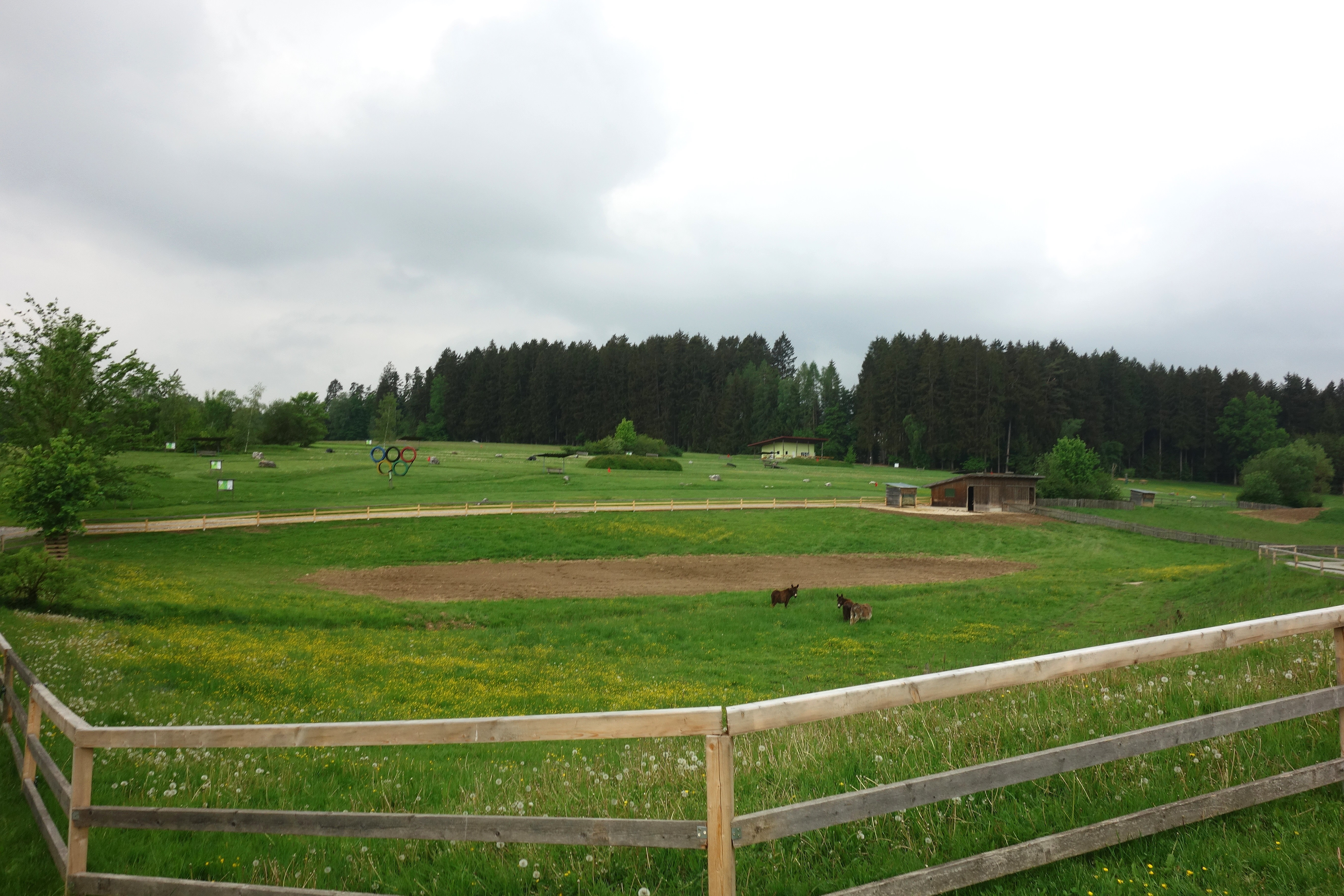 DSC07901