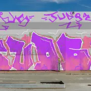 Graffiti artwork by TRUS