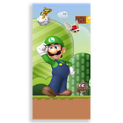 31001163-Mario