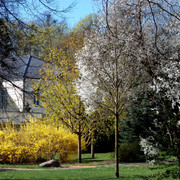 P5041521
