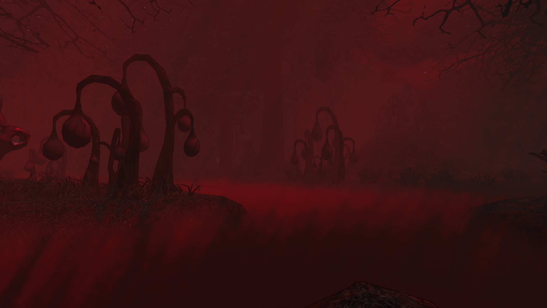 Halls of Desolation