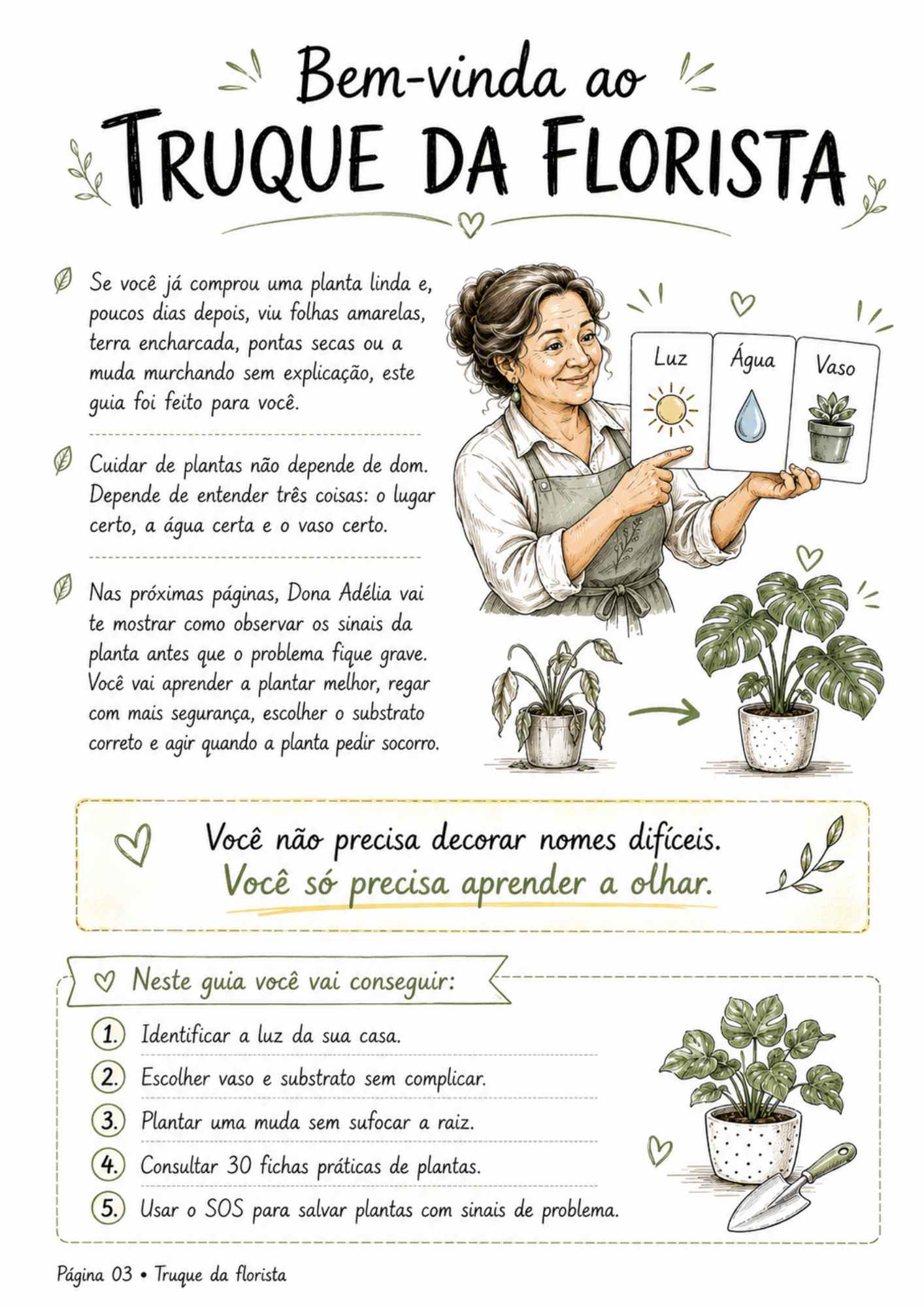 Prévia interna 08