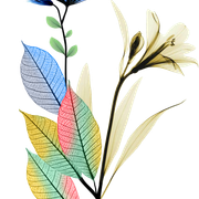 ccdbb51ae6c1c8f2dd09ca0b90ee9d1f