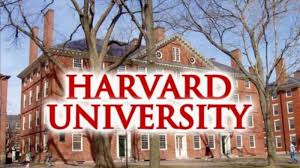 A Look at Harvard’s Free Data Science Courses and How to Study Them