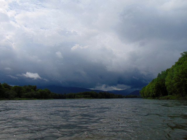 DSC04790.jpg
