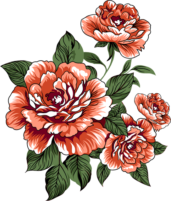 download (5).png