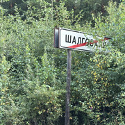 IMG 4944