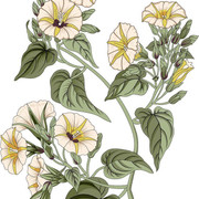 01-292