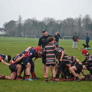 DSC 1245